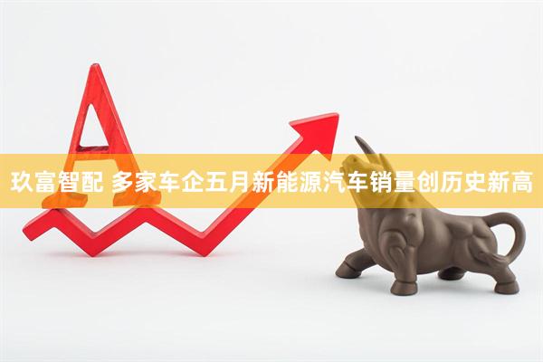 玖富智配 多家车企五月新能源汽车销量创历史新高