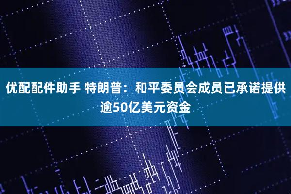 优配配件助手 特朗普：和平委员会成员已承诺提供逾50亿美元资金